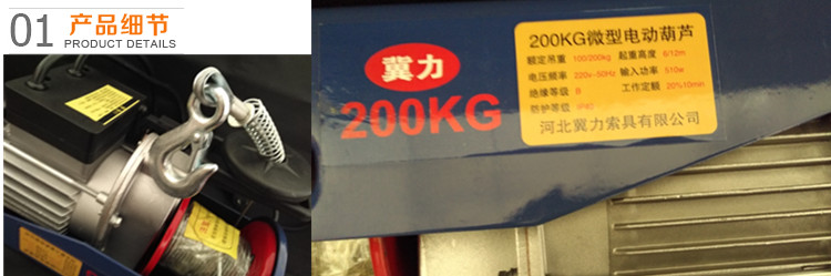 微型電動(dòng)葫蘆